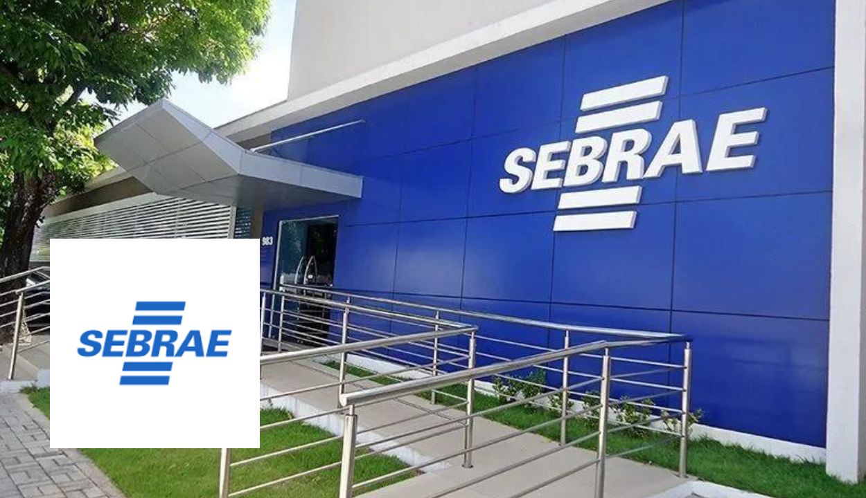 SEBRAE abre 2,5 mil vagas para cursos EAD gratuitos e certificados acessíveis pelo WhatsApp, oportunidades para marketing digital, finanças, empreendedorismo e mais