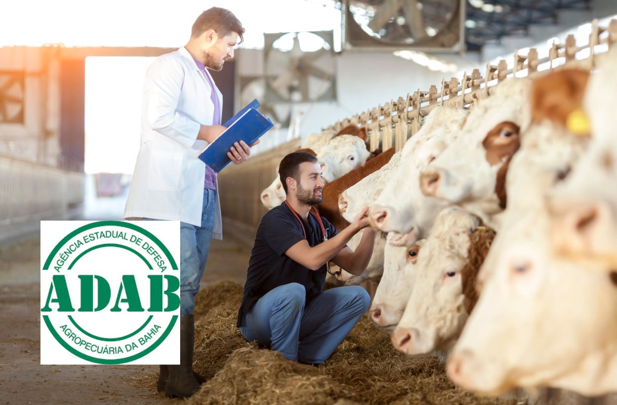 Concurso Público ADAB (BA) 2024: Uma oportunidade imperdível para profissionais do setor agropecuário